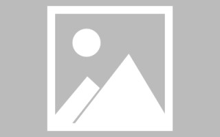 周口网页优化和设计人才（网站优化职位）